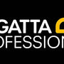 Regatta