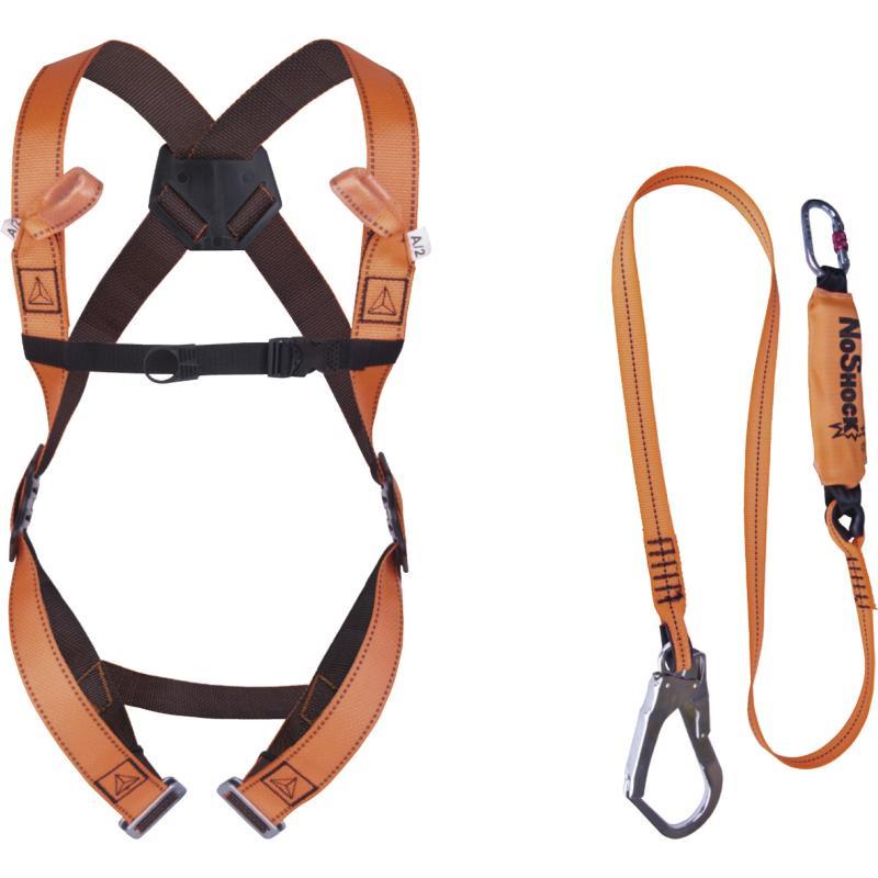 Delta Plus ELARA190 safety harness with scaffold lanyard fall arrest k ...