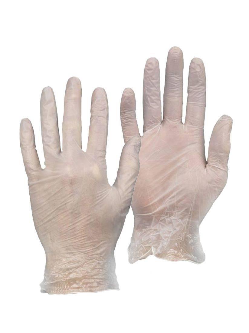Warrior clear vinyl powder-free disposable gloves (box 100) #0117DWGL370