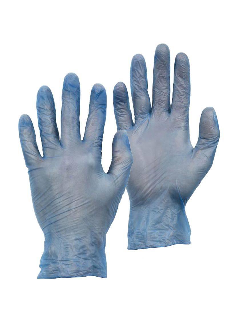 Warrior blue vinyl powder-free disposable gloves (box 100) #0117DWGL380