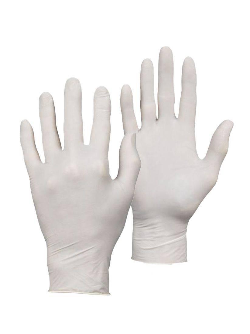 Warrior clear latex powdered disposable gloves (box 100) #0117DWGL335
