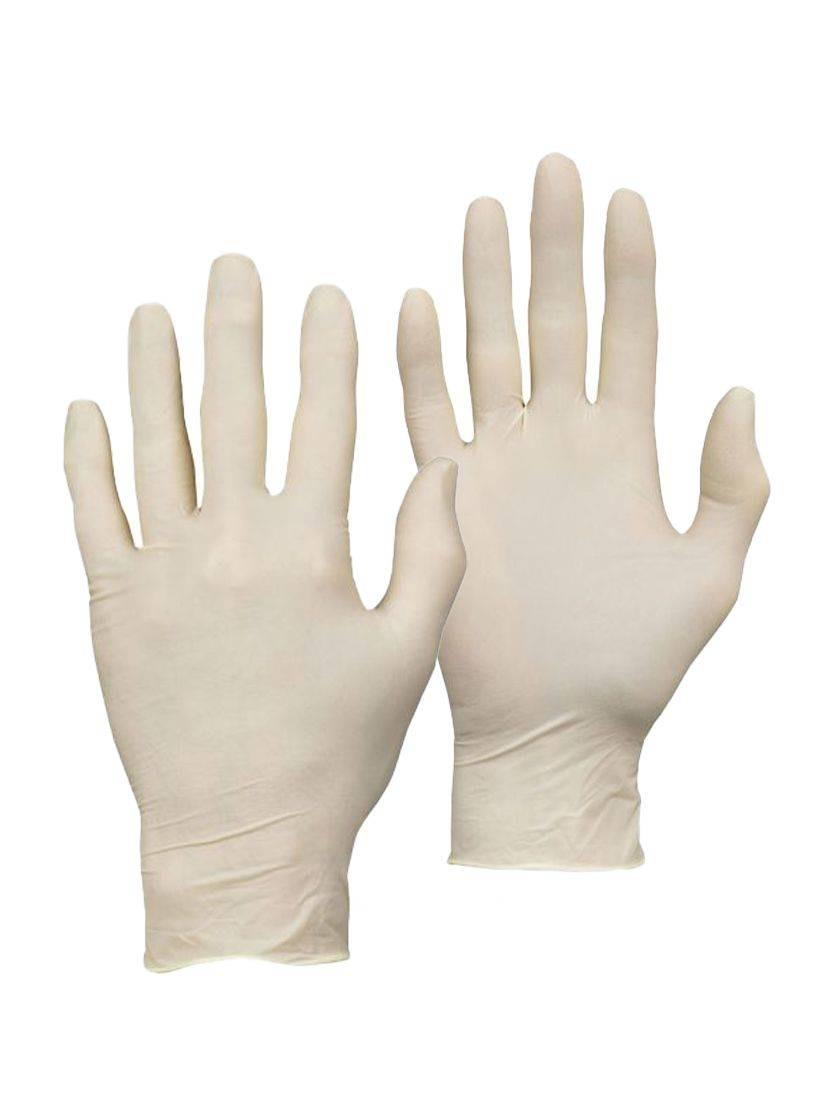 Warrior clear latex powder-free disposable gloves (box 100) #0117DWGL340